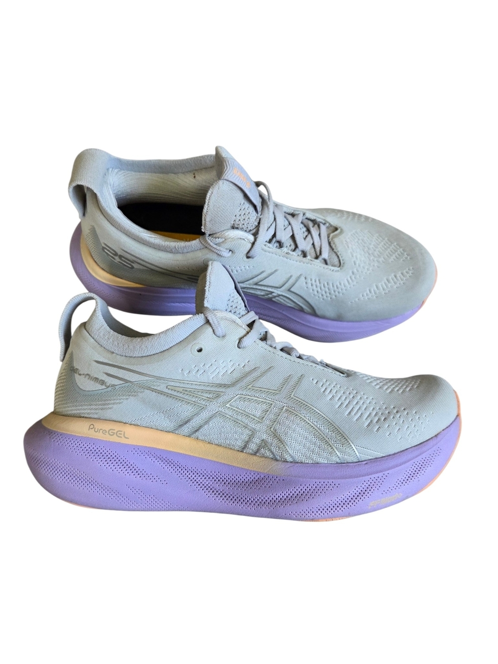 Asics - Gel-Nimbus 25 Piedmont Grey / Pure Silver Running Shoes 8